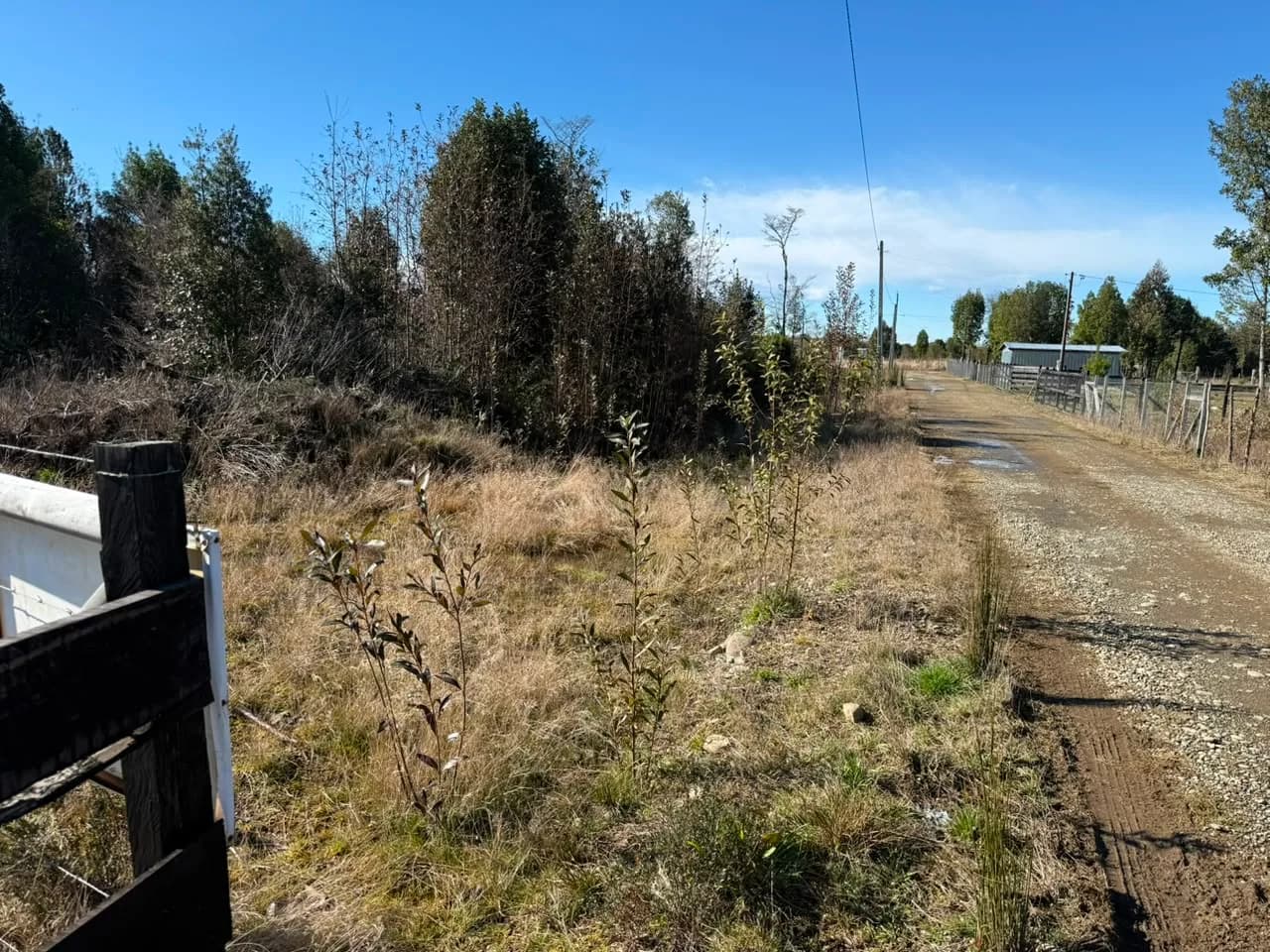 Parcela de 5.000 m² en Los Muermos
